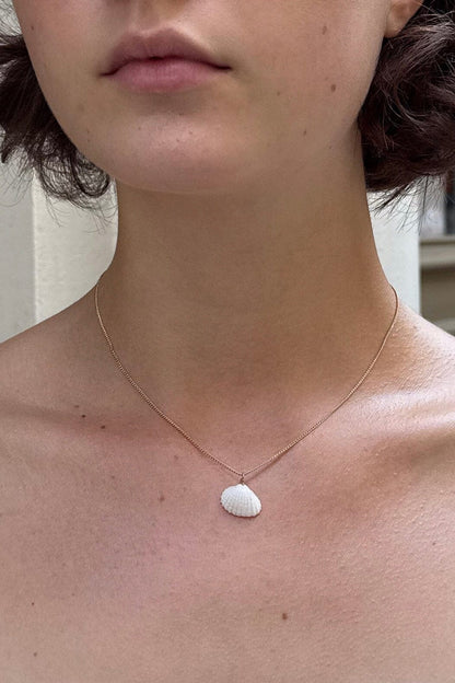 Brandy Melville Seashell Necklace