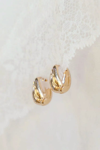 Brandy Melville Hoop Earrings
